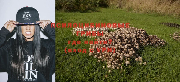 PSILOCYBIN Балахна