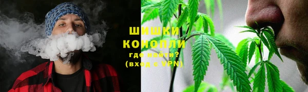 PSILOCYBIN Балахна