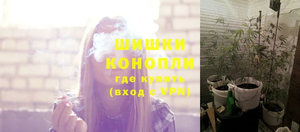 PSILOCYBIN Балахна