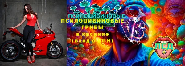 PSILOCYBIN Балахна