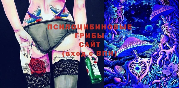 бошки Баксан